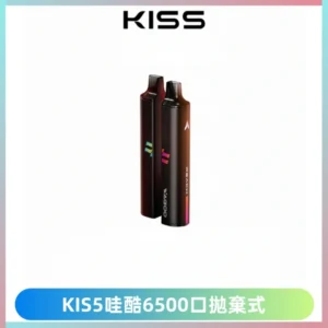 KIS5WAGOO哇酷6500口拋棄式 | 自由混搭雙口味 | 雙芯組合